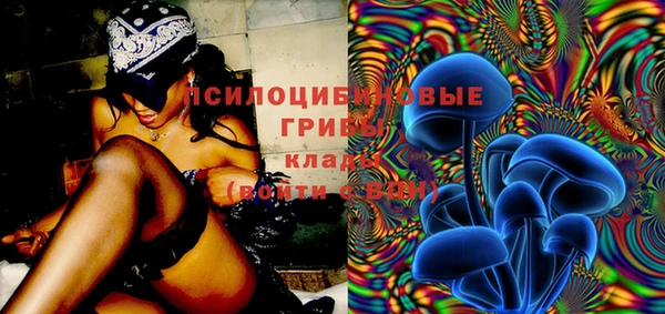 винт Богданович