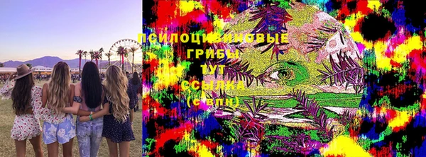 винт Богданович