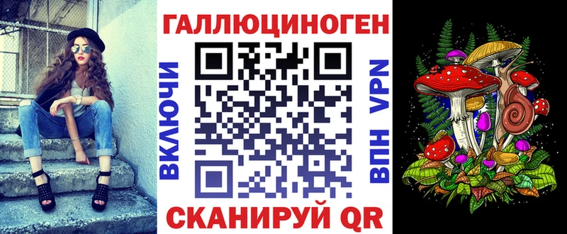 Псилоцибиновые грибы Psilocybine cubensis  Купить где  Петров Вал 